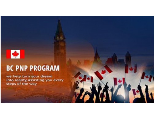 想开移民中介？先看清“哪个移民中介公司好做”的真相